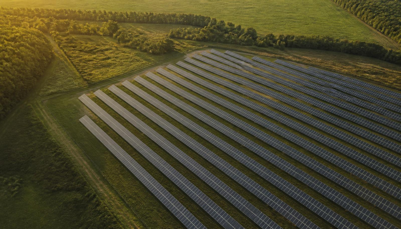 Aerial view of a solar farm at golden hour
